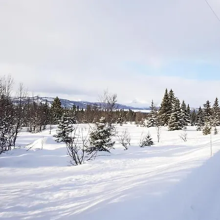 Cozy In With Sauna Σπίτι διακοπών *