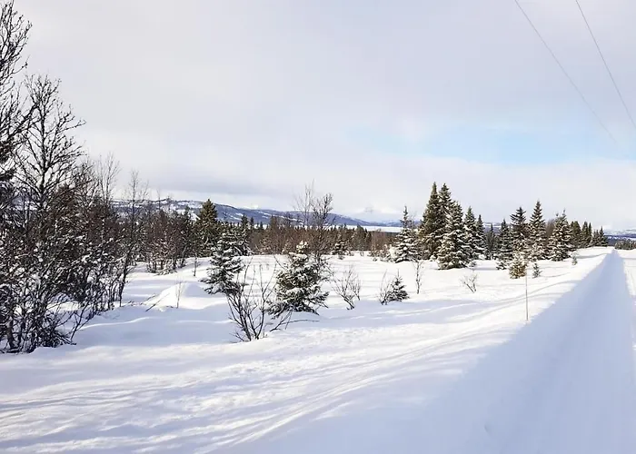 Cozy In With Sauna Semesterbostad *